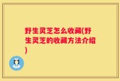 野生灵芝怎么收藏(野生灵芝的收藏方法介绍)