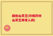 回收山灵芝(珍稀药材山灵芝再现人间)