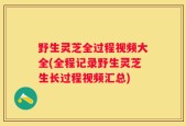 野生灵芝全过程视频大全(全程记录野生灵芝生长过程视频汇总)