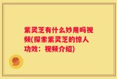 紫灵芝有什么妙用吗视频(探索紫灵芝的惊人功效：视频介绍)