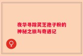 夜华寻踪灵芝孢子粉的神秘之旅与奇遇记