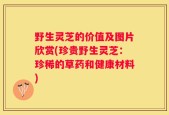 野生灵芝的价值及图片欣赏(珍贵野生灵芝：珍稀的草药和健康材料)