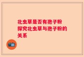 北虫草是否有孢子粉 探究北虫草与孢子粉的关系