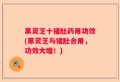 黑灵芝十猪肚药用功效(黑灵芝与猪肚合用，功效大增！)