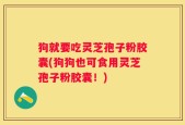 狗就要吃灵芝孢子粉胶囊(狗狗也可食用灵芝孢子粉胶囊！)