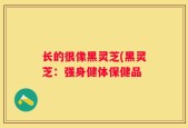 长的很像黑灵芝(黑灵芝：强身健体保健品