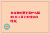 南山里的灵芝是什么样的(南山灵芝的特征和特点)