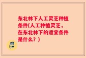 东北林下人工灵芝种植条件(人工种植灵芝，在东北林下的适宜条件是什么？)