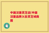 中国汉堡灵芝店(中国汉堡品牌入驻灵芝城商圈