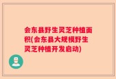 会东县野生灵芝种植面积(会东县大规模野生灵芝种植开发启动)