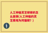 人工种植灵芝硬硬的怎么回事(人工种植的灵芝质地为何偏硬？)