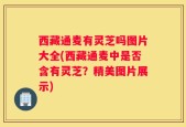 西藏通麦有灵芝吗图片大全(西藏通麦中是否含有灵芝？精美图片展示)