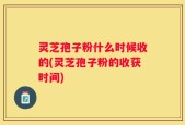 灵芝孢子粉什么时候收的(灵芝孢子粉的收获时间)