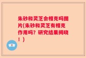 朱砂和灵芝会相克吗图片(朱砂和灵芝有相克作用吗？研究结果揭晓！)