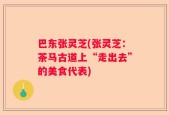 巴东张灵芝(张灵芝：茶马古道上“走出去”的美食代表)