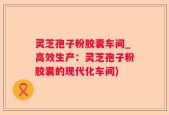 灵芝孢子粉胶囊车间_高效生产：灵芝孢子粉胶囊的现代化车间)