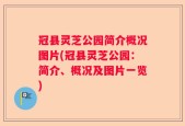 冠县灵芝公园简介概况图片(冠县灵芝公园：简介、概况及图片一览)