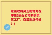 蒙山收购灵芝的地方在哪里(蒙山公司购买灵芝工厂：交易地点何处？)