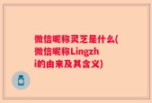 微信昵称灵芝是什么(微信昵称Lingzhi的由来及其含义)