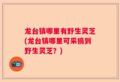龙台镇哪里有野生灵芝(龙台镇哪里可采摘到野生灵芝？)
