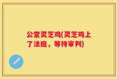 公堂灵芝鸡(灵芝鸡上了法庭，等待审判)