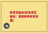 野灵芝抛光(野生灵芝抛光：发现神奇养生效果)