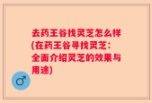 去药王谷找灵芝怎么样(在药王谷寻找灵芝：全面介绍灵芝的效果与用途)