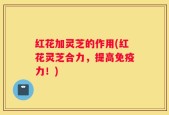 红花加灵芝的作用(红花灵芝合力，提高免疫力！)