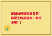 萌新如何搞到海灵芝(海灵芝购买指南：新手必看！)