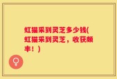 虹猫采到灵芝多少钱(虹猫采到灵芝，收获颇丰！)