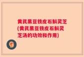 黄芪黑豆铁皮石斛灵芝(黄芪黑豆铁皮石斛灵芝汤的功效和作用)