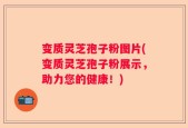 变质灵芝孢子粉图片(变质灵芝孢子粉展示，助力您的健康！)