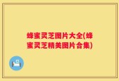 蜂蜜灵芝图片大全(蜂蜜灵芝精美图片合集)