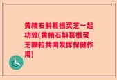 黄精石斛葛根灵芝一起功效(黄精石斛葛根灵芝颗粒共同发挥保健作用)