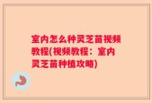 室内怎么种灵芝苗视频教程(视频教程：室内灵芝苗种植攻略)