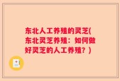 东北人工养殖的灵芝(东北灵芝养殖：如何做好灵芝的人工养殖？)
