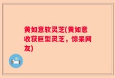 黄如意软灵芝(黄如意收获巨型灵芝，惊呆网友)