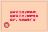 丽水灵芝孢子粉基地(丽水灵芝孢子粉种植园盛产，市场前景广阔)