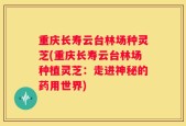 重庆长寿云台林场种灵芝(重庆长寿云台林场种植灵芝：走进神秘的药用世界)