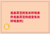 龙泉灵芝的生长环境条件龙泉灵芝的适宜生长环境条件)