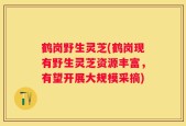 鹤岗野生灵芝(鹤岗现有野生灵芝资源丰富，有望开展大规模采摘)