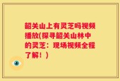 韶关山上有灵芝吗视频播放(探寻韶关山林中的灵芝：现场视频全程了解！)