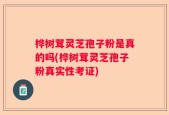 桦树茸灵芝孢子粉是真的吗(桦树茸灵芝孢子粉真实性考证)