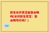 野生长杆灵芝能熬水喝吗(长杆野生灵芝：熬水喝可行吗？)