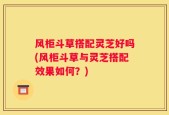 风柜斗草搭配灵芝好吗(风柜斗草与灵芝搭配效果如何？)