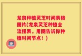 龙泉种植灵芝时间表格图片(龙泉灵芝种植全流程表，用图告诉你种植时间节点！)