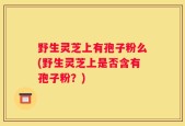 野生灵芝上有孢子粉么(野生灵芝上是否含有孢子粉？)