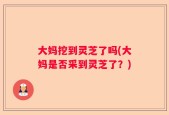 大妈挖到灵芝了吗(大妈是否采到灵芝了？)