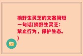 摘野生灵芝的文案简短一句话(摘野生灵芝：禁止行为，保护生态。)