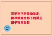 灵芝孢子粉显微鉴定：探寻微观世界下的灵芝孢子粉真面目
